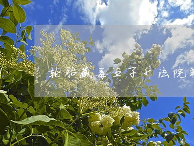 轮胎藏毒王子升法院判了吗 轮胎藏毒王子升法院判了吗