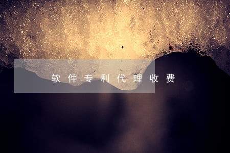 软件专利代理收费 软件专利代理收费