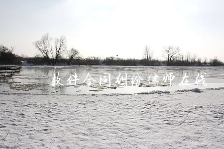 软件合同纠纷律师在线 软件合同纠纷律师在线