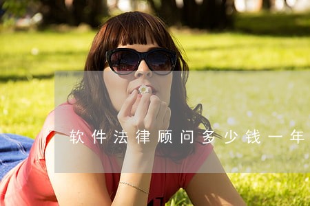 软件法律顾问多少钱一年 软件法律顾问多少钱一年