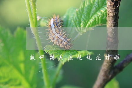 软件相关法规规范标准