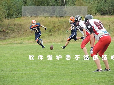 软件维护费不给违法吗