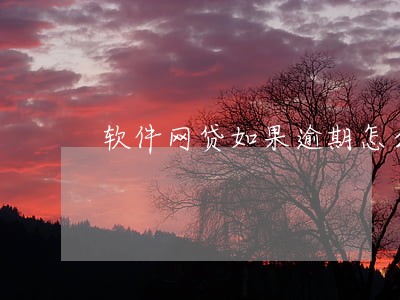 软件网贷如果逾期怎么办 软件网贷如果逾期怎么办