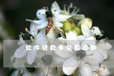 软件贷款多久算逾期 软件贷款多久算逾期