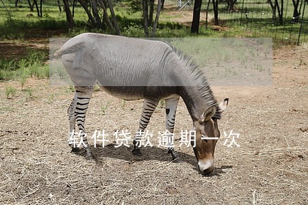 软件贷款逾期一次