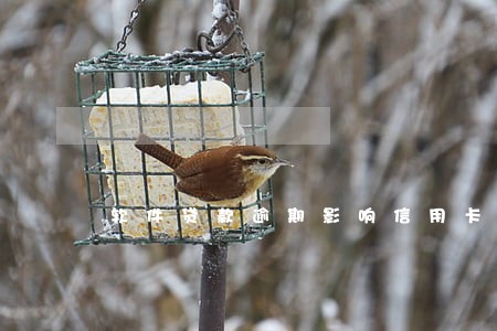 软件贷款逾期影响信用卡么 软件贷款逾期影响信用卡么