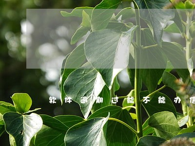 软件逾期过能不能办信用卡 软件逾期过能不能办信用卡