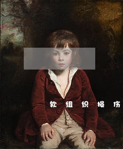软组织损伤律师收费标准