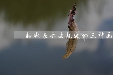 轴承表示法规定的三种画法 轴承表示法规定的三种画法