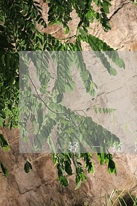 轻一经济法基础 轻一经济法基础