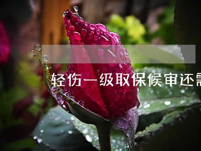 轻伤一级取保候审还需要坐牢吗
