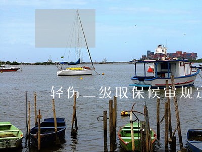 轻伤二级取保候审规定 轻伤二级取保候审规定