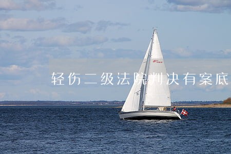 轻伤二级法院判决有案底吗