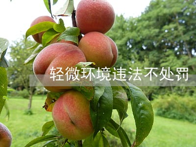 轻微环境违法不处罚 轻微环境违法不处罚