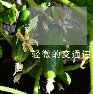 轻微的交通违法不扣分 轻微的交通违法不扣分