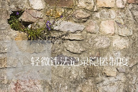 轻微违法记录隐匿制度 轻微违法记录隐匿制度