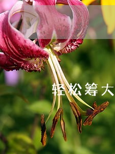 轻松筹大庆市一纸司法 轻松筹大庆市一纸司法