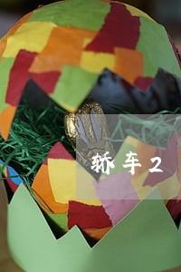 轿车2年显示逾期未检验 轿车2年显示逾期未检验