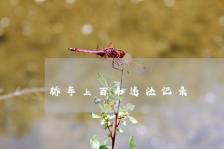 轿车上百条违法记录 轿车上百条违法记录