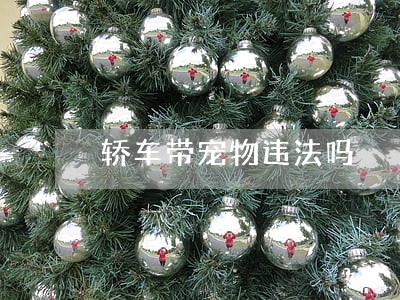 轿车带宠物违法吗