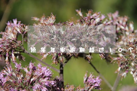 轿车年审逾期超过10个月 轿车年审逾期超过10个月