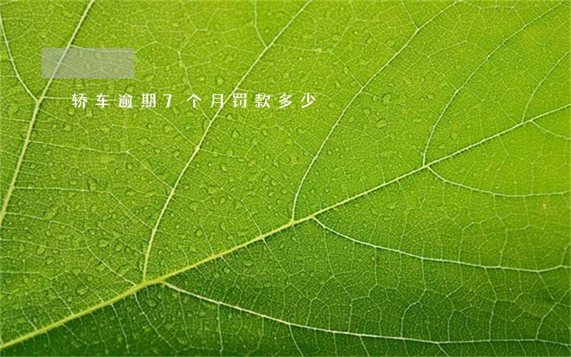 轿车逾期7个月罚款多少 轿车逾期7个月罚款多少