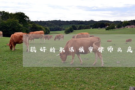 较好的取保候审律师出庭收费 较好的取保候审律师出庭收费