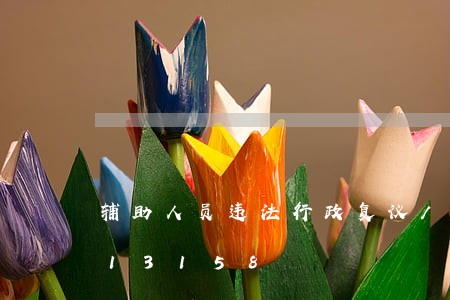 辅助人员违法行政复议/2023020313158 辅助人员违法行政复议/2023020313158