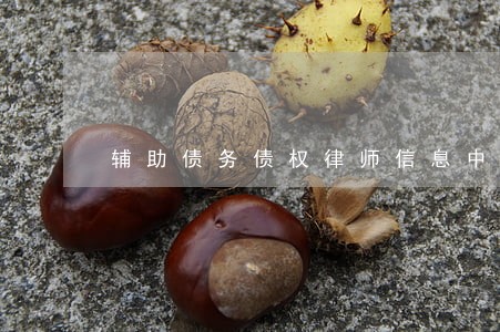 辅助债务债权律师信息中心 辅助债务债权律师信息中心