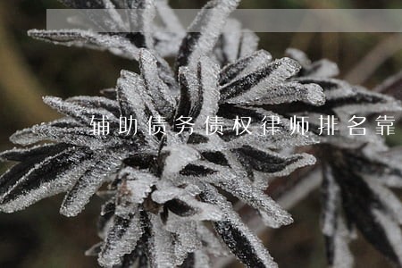 辅助债务债权律师排名靠前 辅助债务债权律师排名靠前