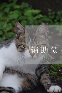 辅助债务债权案件律师信息推荐 辅助债务债权案件律师信息推荐