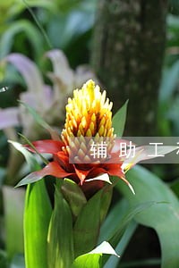 辅助工程纠纷案律师来电咨询 辅助工程纠纷案律师来电咨询