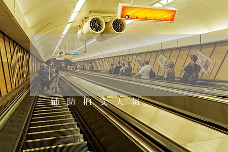 辅助拍卖人员