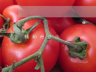 辅助网违法 辅助网违法