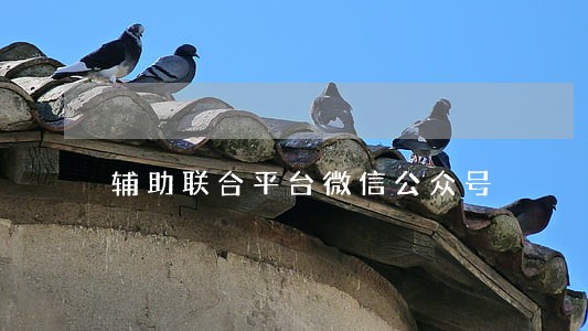 辅助联合平台微信公众号 辅助联合平台微信公众号