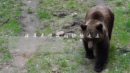 辅导老师提醒切勿违法 辅导老师提醒切勿违法