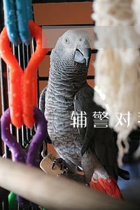 辅警对我拍照违法吗 辅警对我拍照违法吗