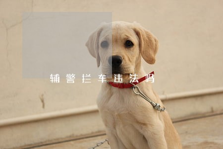 辅警拦车违法吗 辅警拦车违法吗