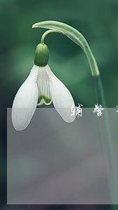 辅警有网贷但没逾期有影响吗 辅警有网贷但没逾期有影响吗