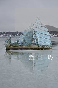 辉丰股份信披违法终获行政处罚 辉丰股份信披违法终获行政处罚