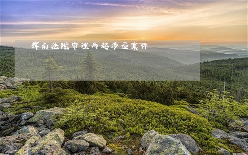 辉南法院审理两起涉恶案件