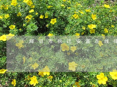 辉县市拆迁安置在线律师 辉县市拆迁安置在线律师