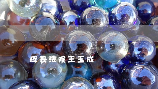 辉县法院王玉成 辉县法院王玉成