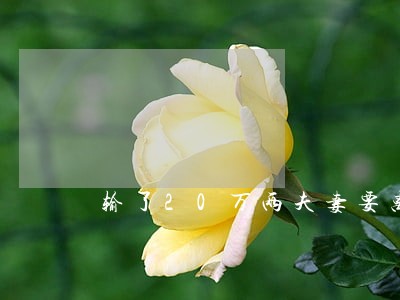 输了20万两夫妻要离婚 输了20万两夫妻要离婚