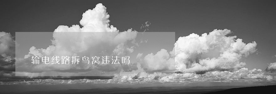 输电线路拆鸟窝违法吗