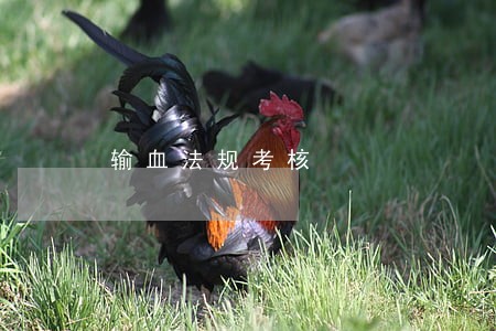 输血法规考核 输血法规考核