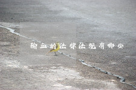 输血的法律法规有哪些 输血的法律法规有哪些