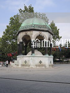 输血管理法律法规依据