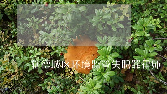 辖德城区环境监管失职罪律师