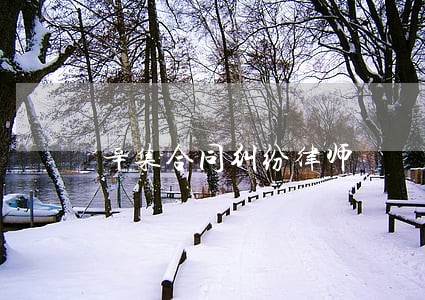 辛集合同纠纷律师 辛集合同纠纷律师